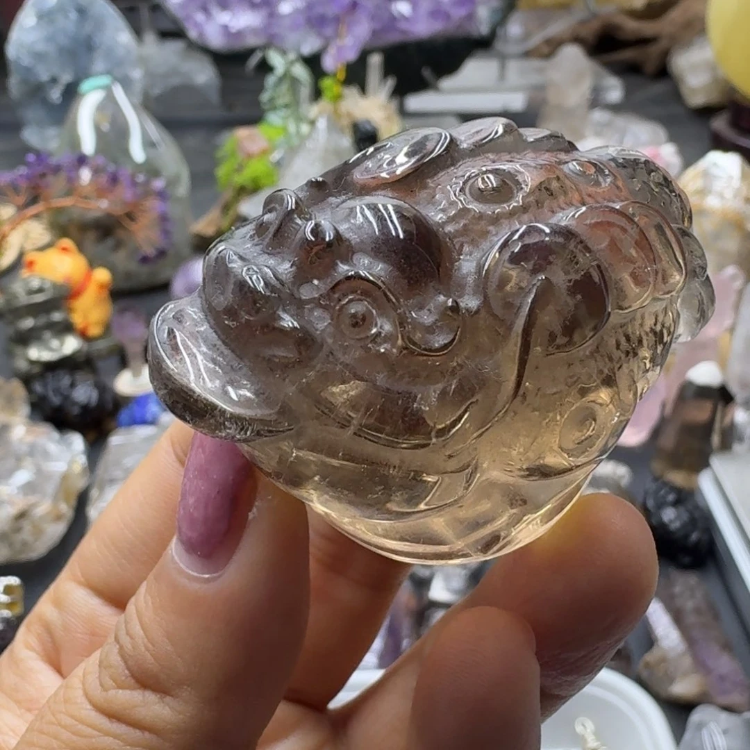 茶晶金蟾的故事是