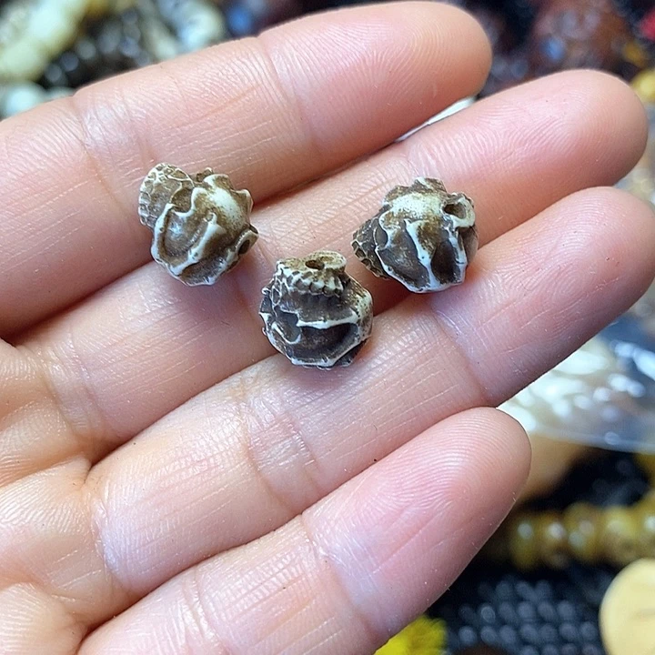 其他驼骨其他配饰