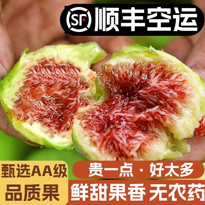 山东威海青皮无花果3斤装鲜果特产当季新鲜水果批发顺丰空运
