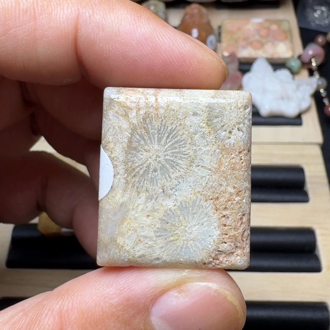 未镶嵌纯天然色有机玉石保真色硅化玉无珠无绳一件包邮