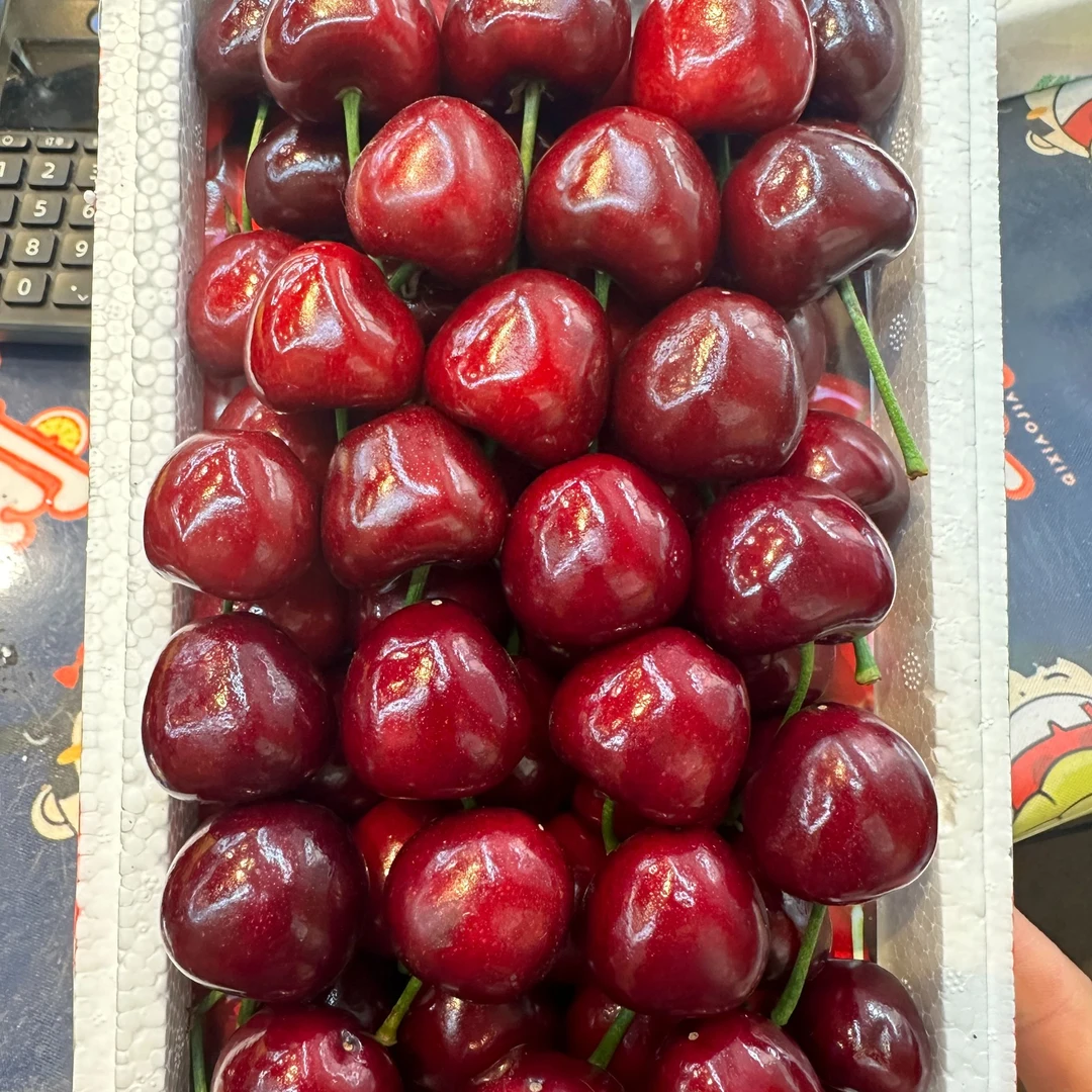 大连美早樱桃一盒约1.3斤(3JJJ)美早辽宁省