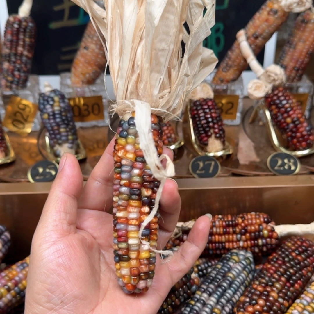 柏香籽/百香籽吊坠用****2