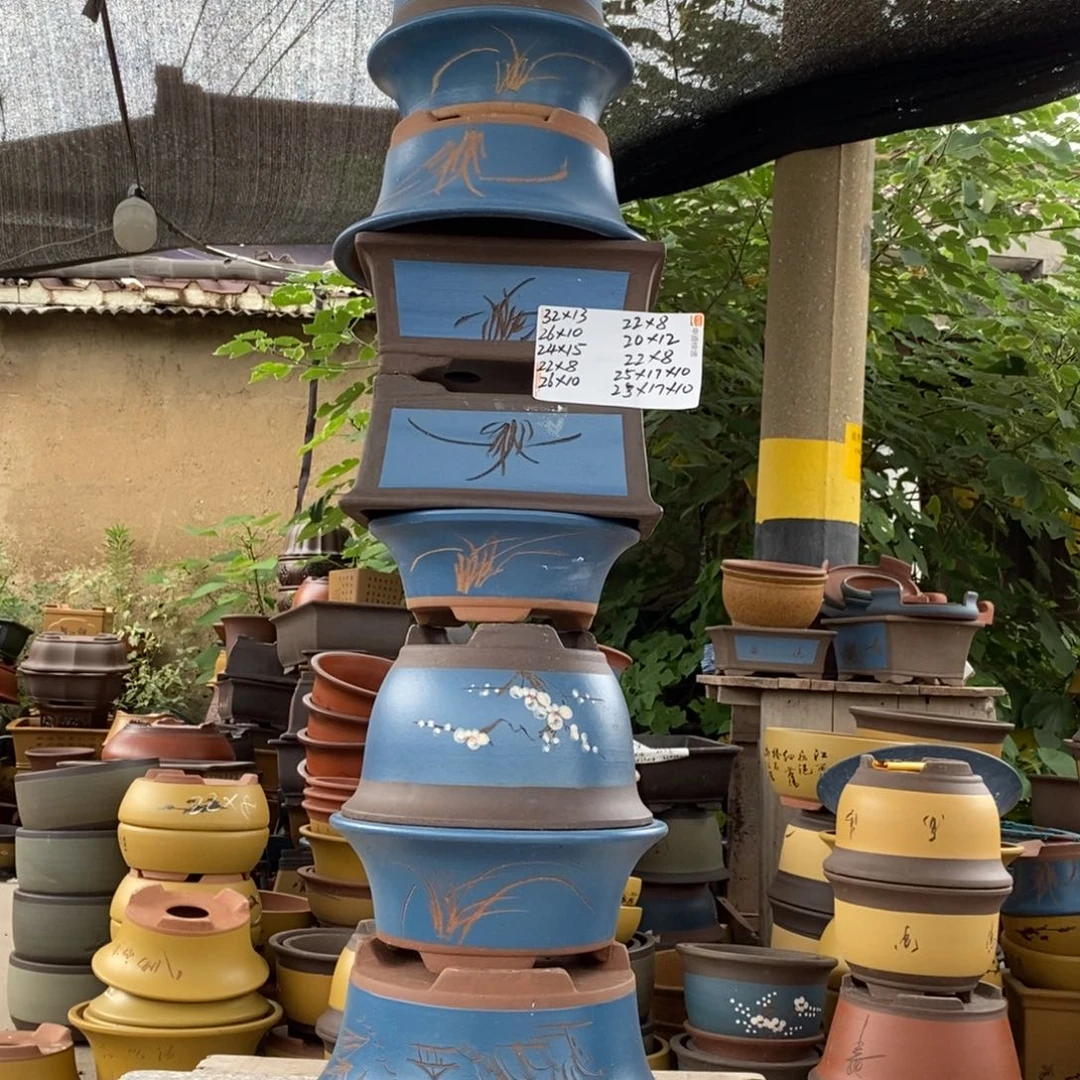 紫砂紫砂紫砂紫砂