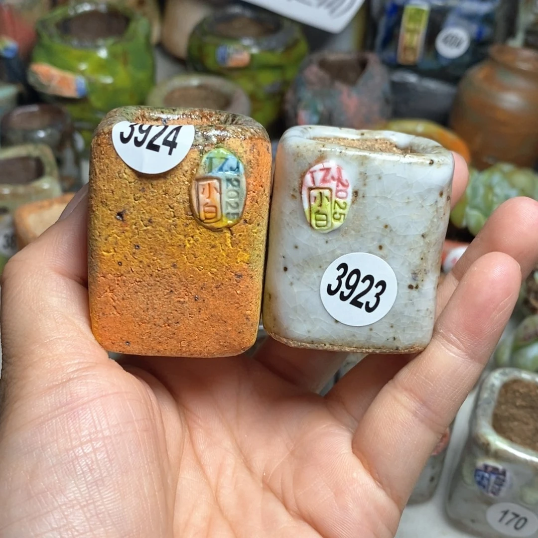 昱*拍5送一个小礼物