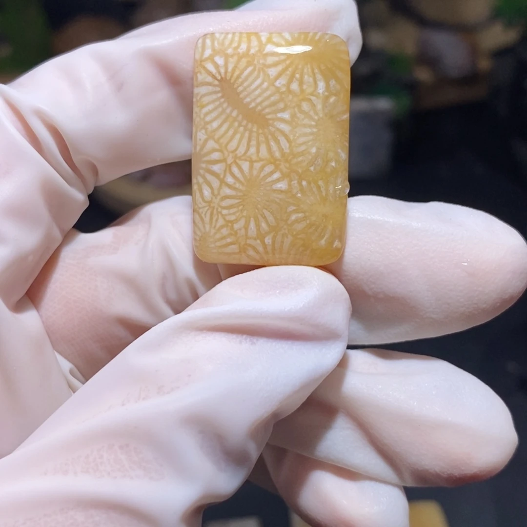 【闪购商品】硅化玉颈饰未镶嵌