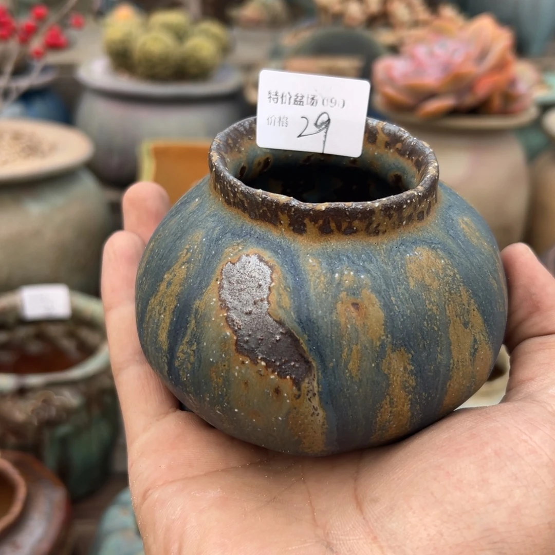 冬***五1987多肉花盆孤品090