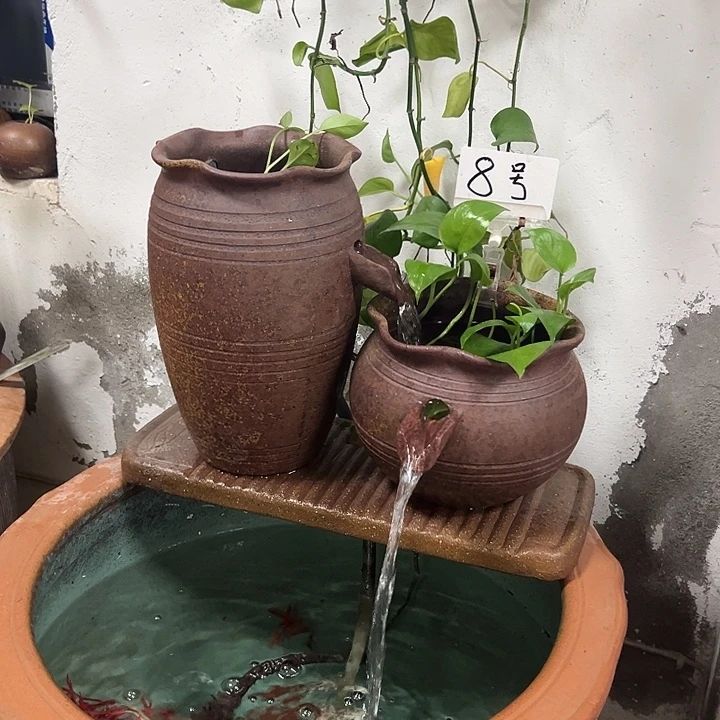 前天还没说什么吧哈我不