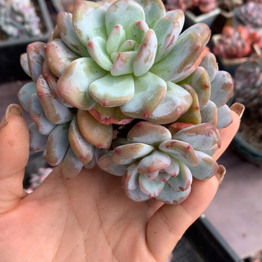 哈哈哈哈哈哈哈哈哈哈