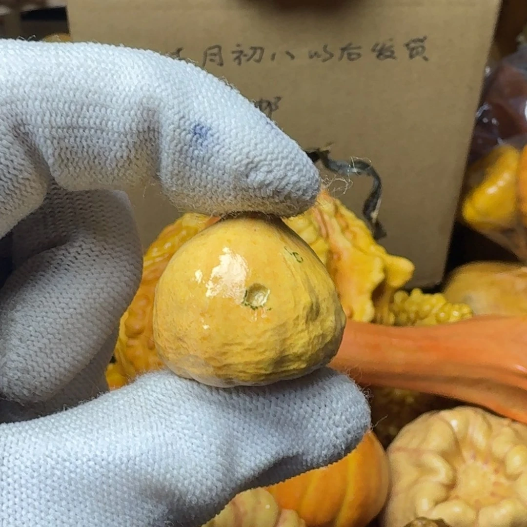 星**眠特价葫芦不退不换