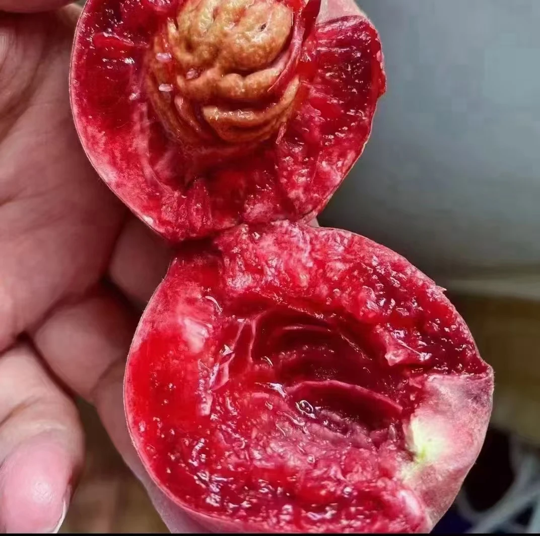 【宝宝专属5斤】顺丰包邮血桃新鲜水果产地直发