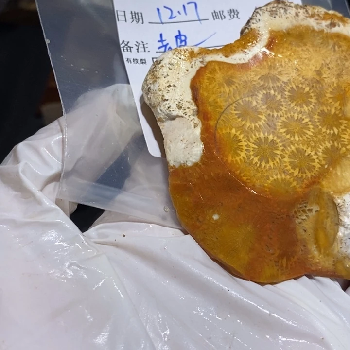 【闪购商品】未镶嵌珊瑚玉硅化玉没***薅