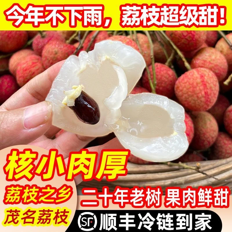 顺丰正宗现摘新鲜黑叶荔枝新鲜妃子笑头茬大果应季孕妇水果现货