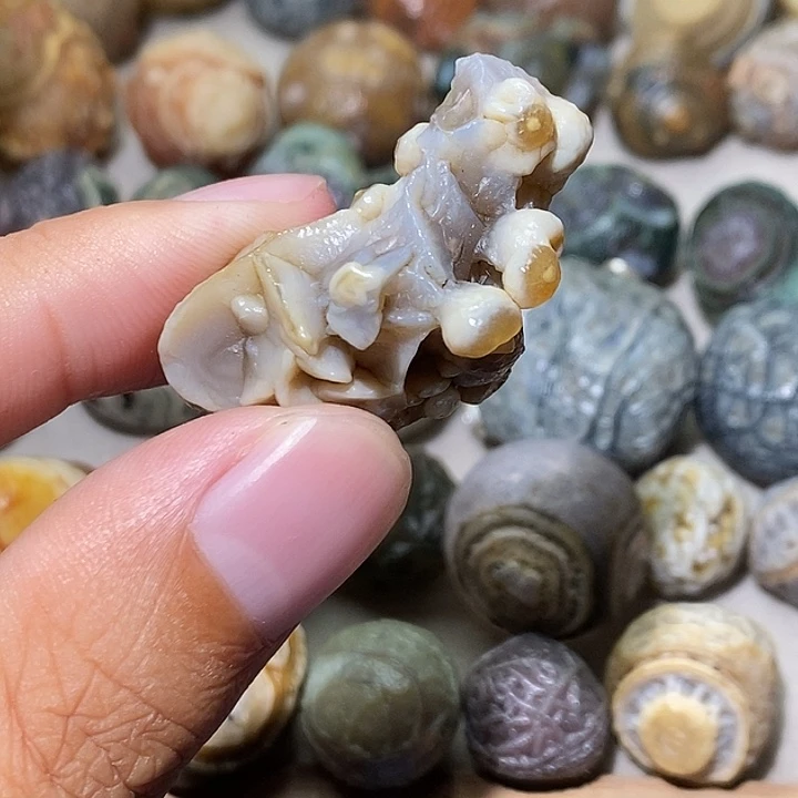 石头陈*精品筋脉单科