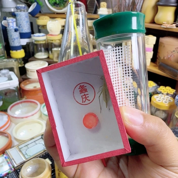 绿色竹蛉筒套啊啊啊啊