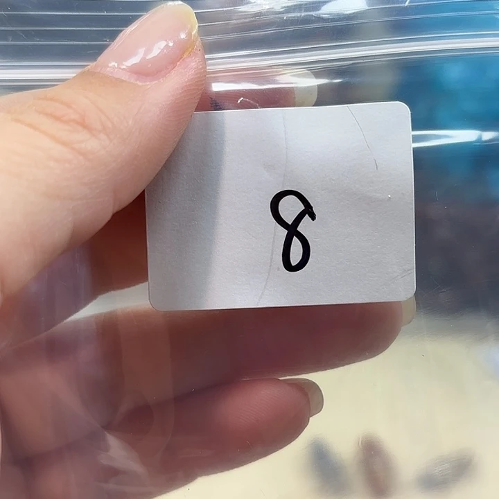 大叶紫檀（黑酸枝木类）8