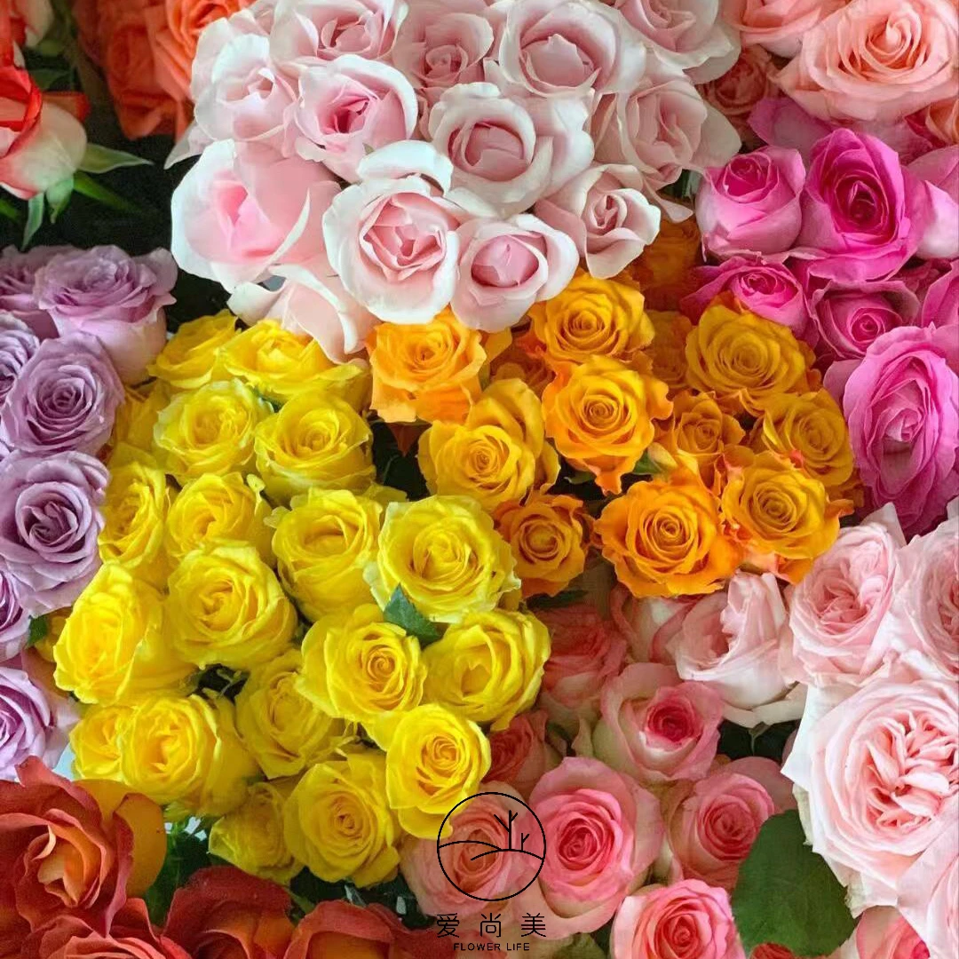 【每周随机鲜花】随心搭配（记得备注鲜花颜色）单支鲜花 表白送女友送男友送朋友拜访朋友 同城小时达送花上门