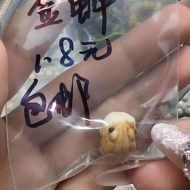 星月菩提手串63金蝉配饰一个