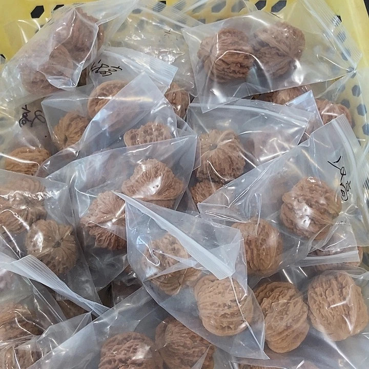 吊坠文玩核桃汉高楼