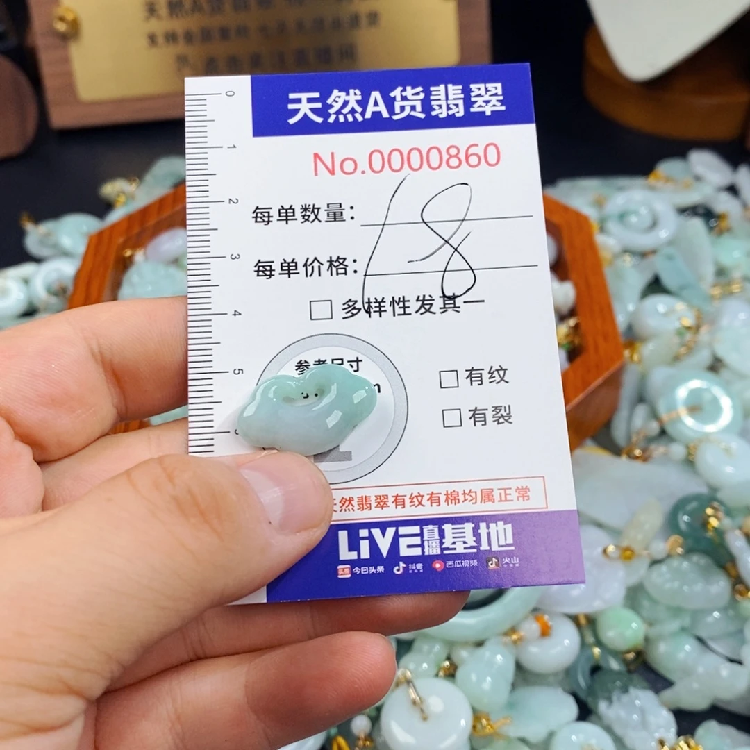 翡翠未镶嵌颈饰860