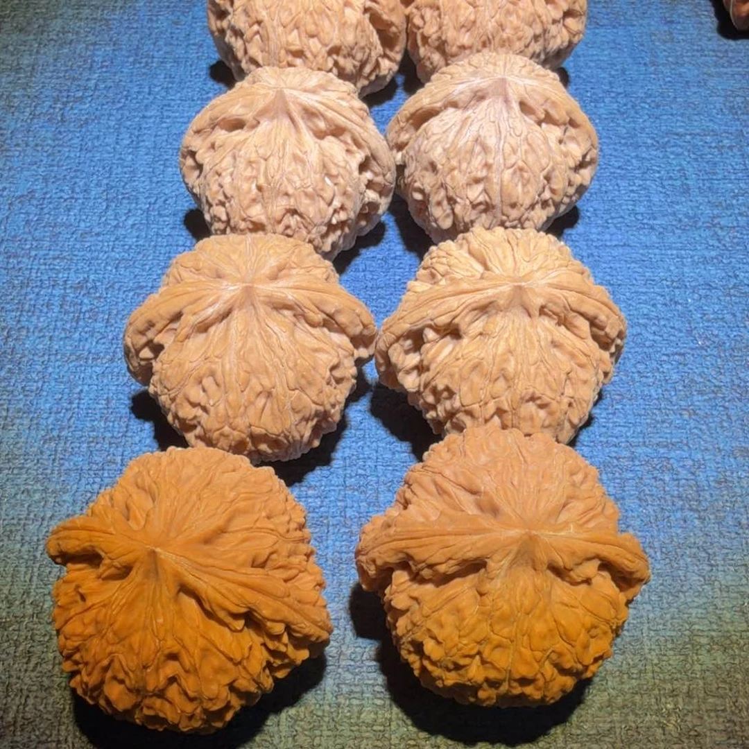 文玩核桃把件蛟龙41尺寸