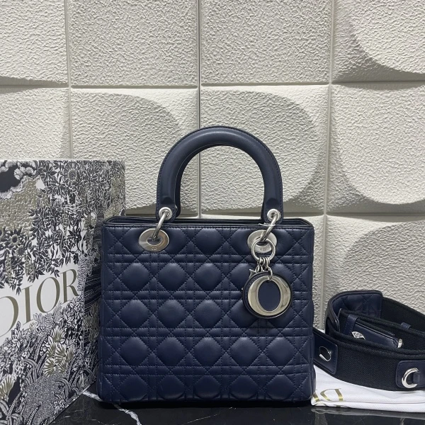 95新/迪奥/妃鱼/单肩包/市场价51000/250119LT0033