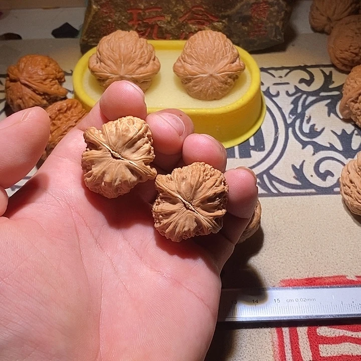 全品没修小白狮子一对