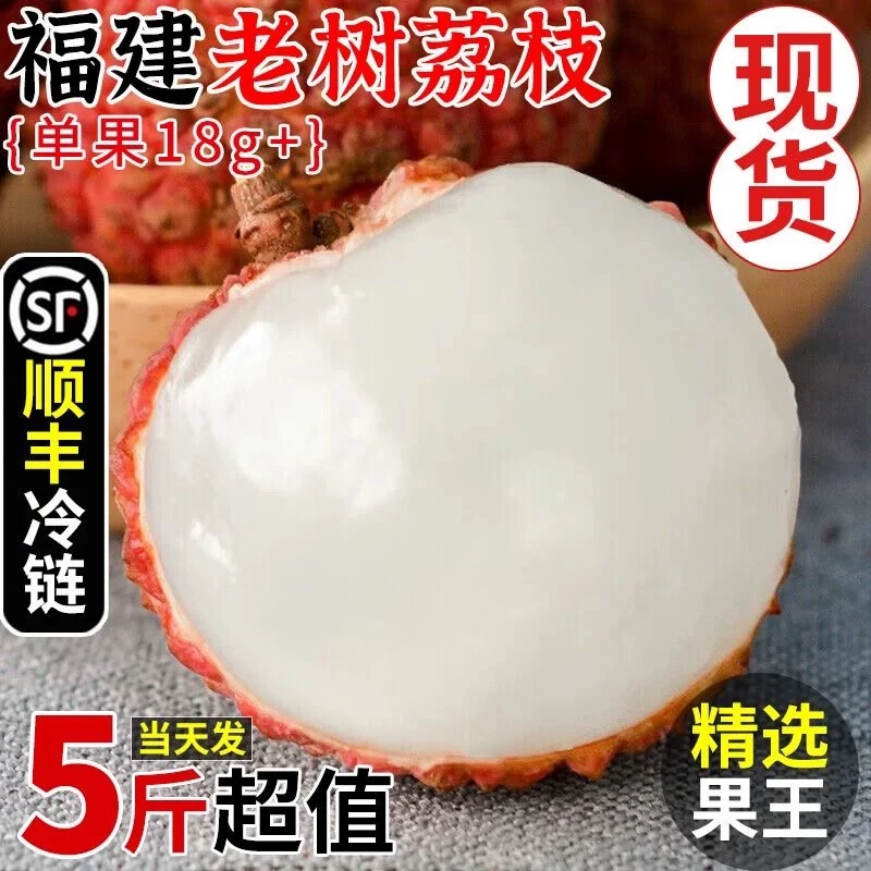 【5斤双肩玉荷包】顺丰包邮正宗新鲜荔枝新鲜现摘应季水果产地直发