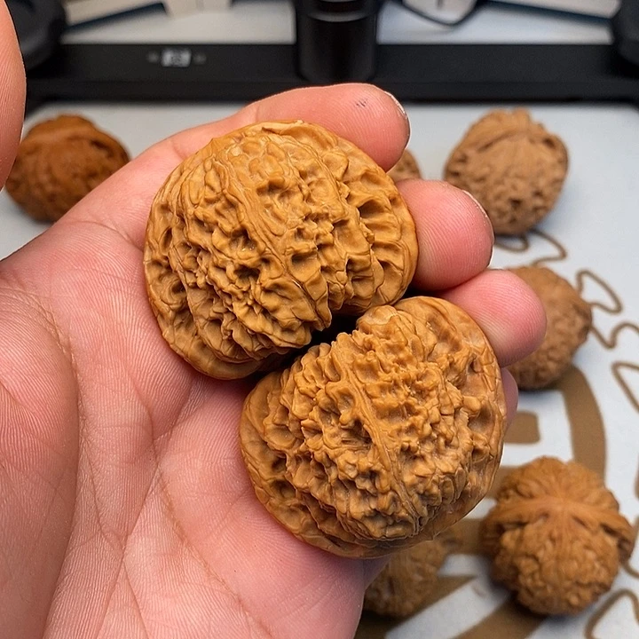 文玩核桃把件龙***爱白狮子