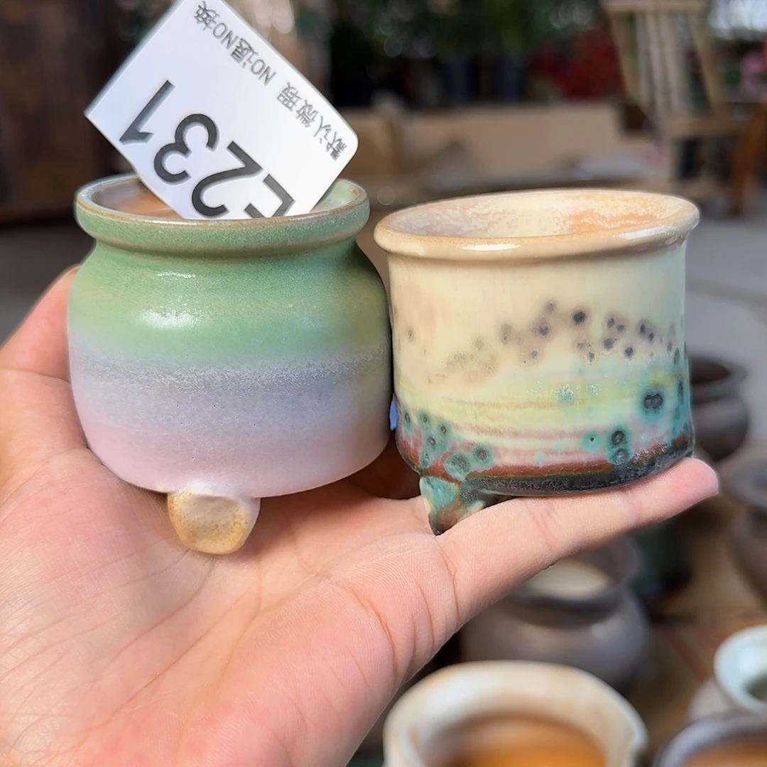 重庆小燕子欢迎大家231