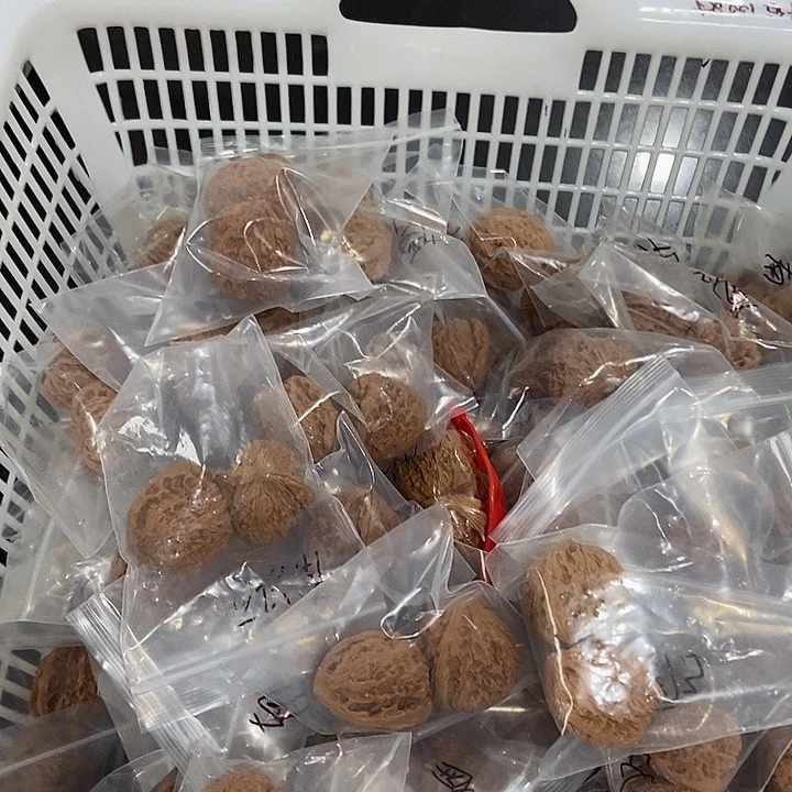 吊坠文玩核桃丑疆