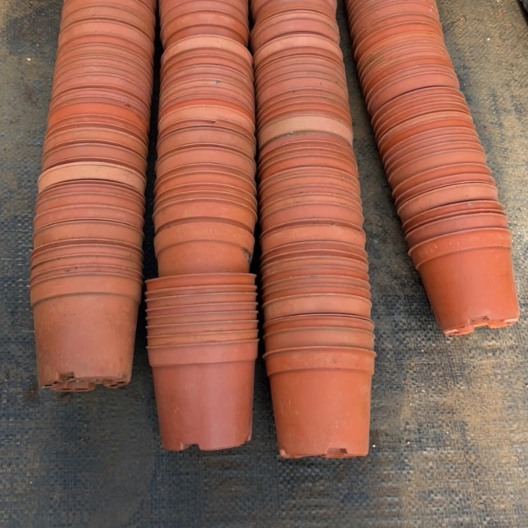 塑料旧花盆 红矮胖盆8.5口径6.5高（70个）