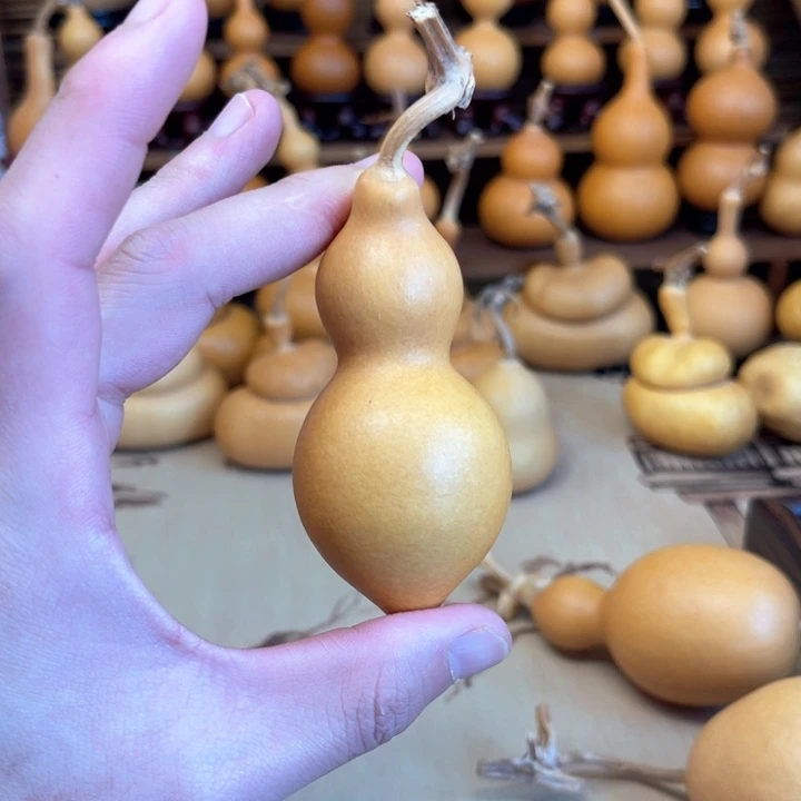 厚皮响籽大蚂蚁皮正39