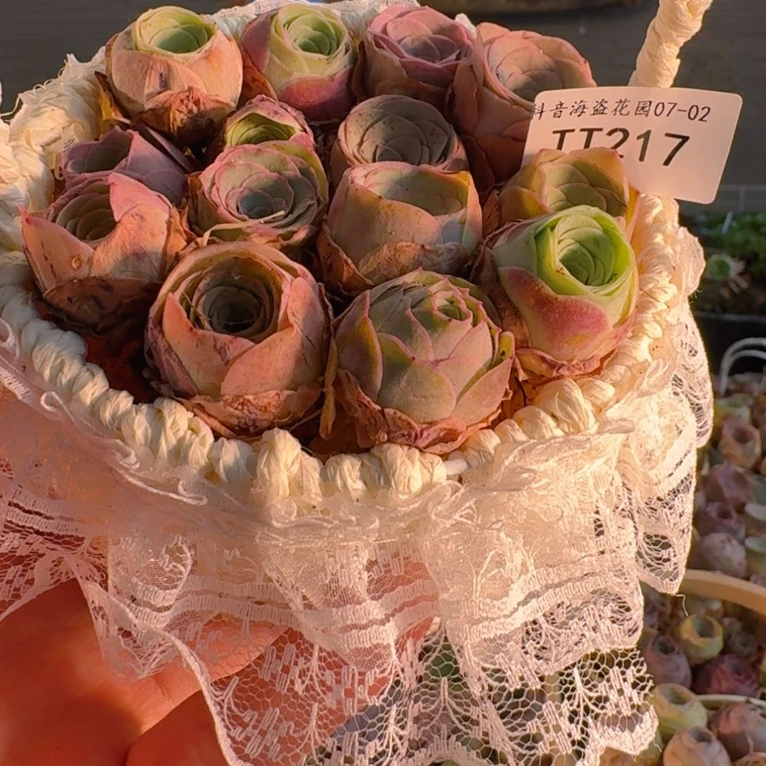 紫***兰TT217 蕾丝花篮玫瑰组合