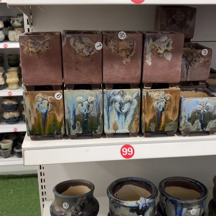 紫***魔内口6高11左右，8个花盆