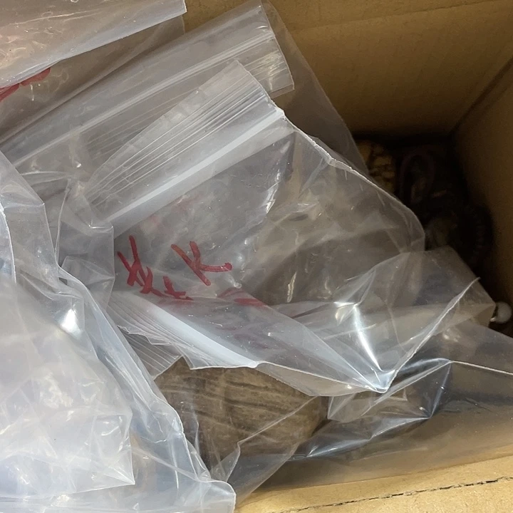 K***学千眼菩提把件天然千眼菩提不退不换