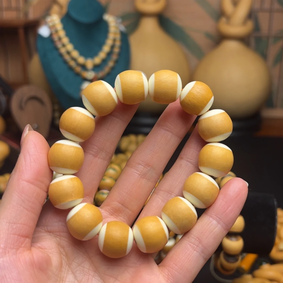 宝***柱一物一拍一物一拍