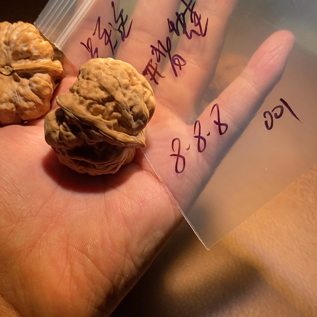 核桃手串/手链001