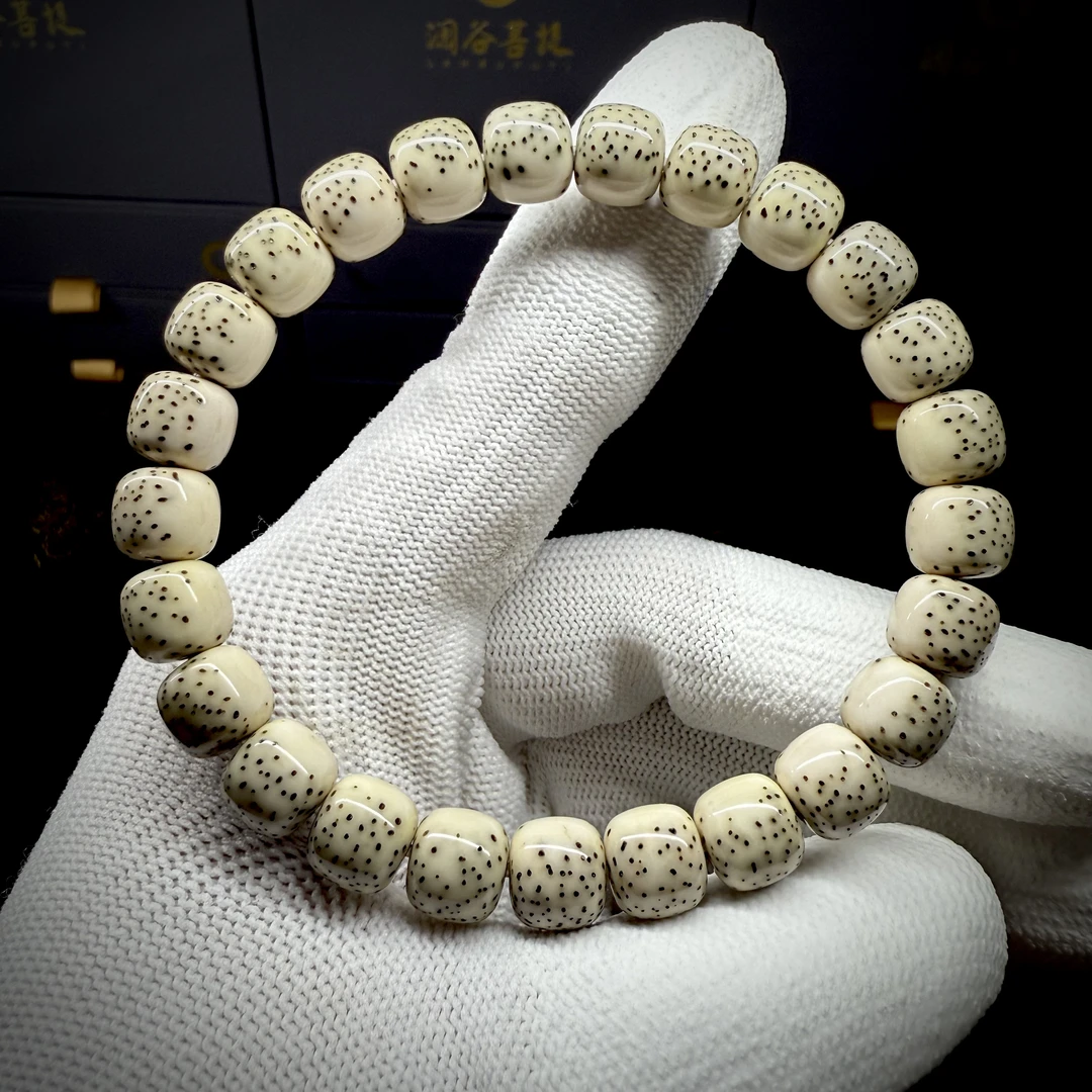 海南原生态-灰背半壁大留白河豚9✖️8老型同枝25粒❗️一物一拍❗️