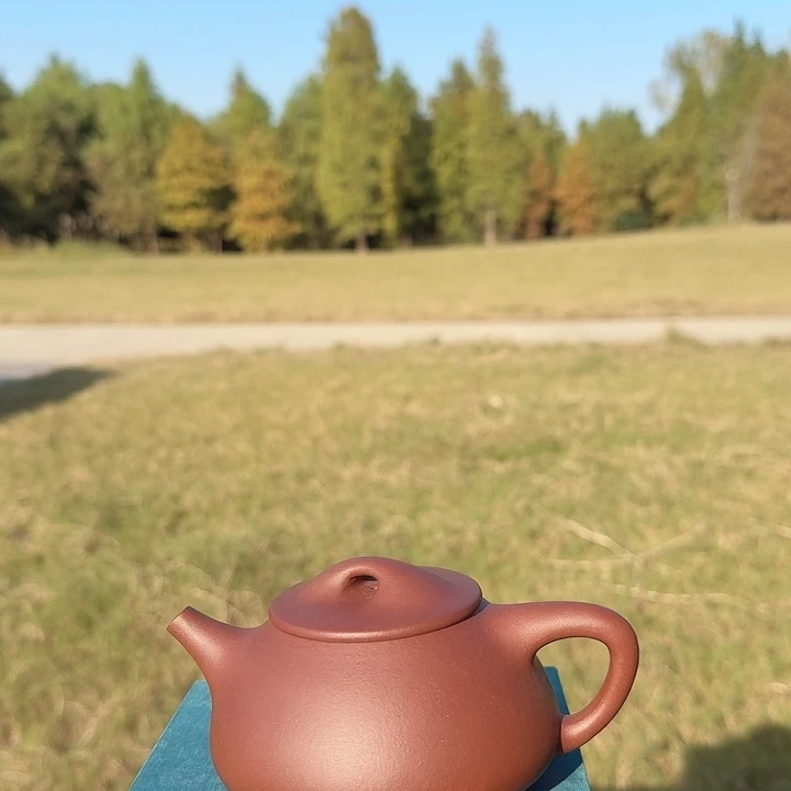 茶壶紫砂景舟全手老紫泥带矿户外价