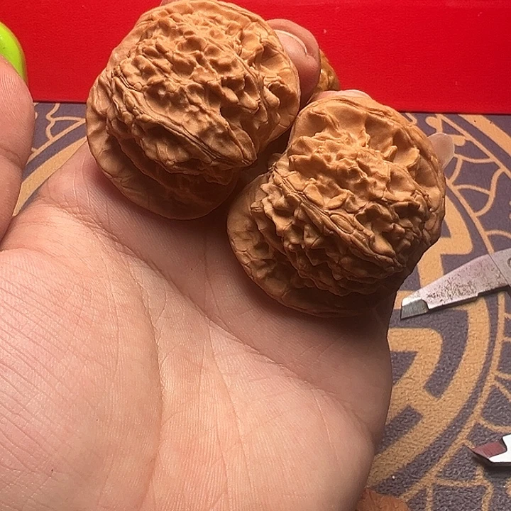 核桃06号 平顶狮子头