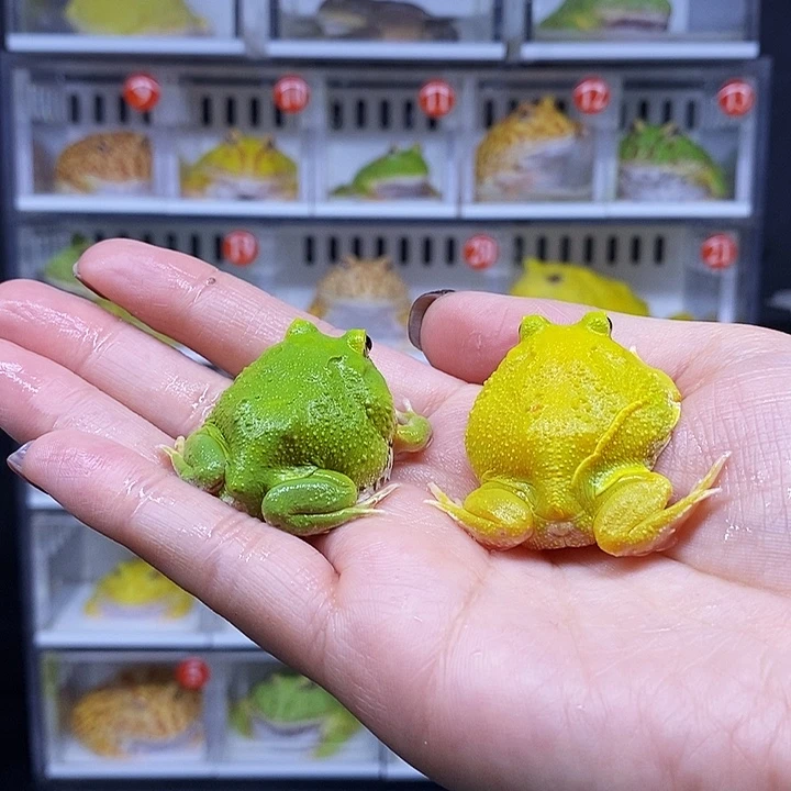 特价秒杀一切顺利