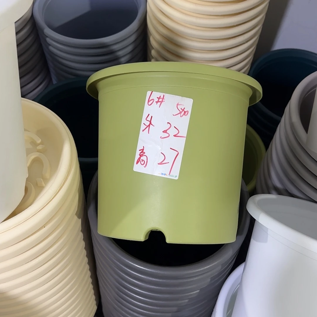 微瑕6号3个无托，果绿