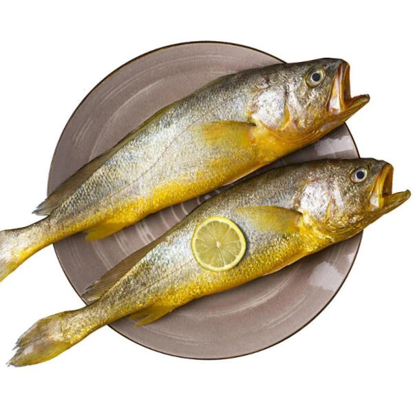 海名威 海湾大黄花鱼 2条 (单条净鱼重量≥300g)