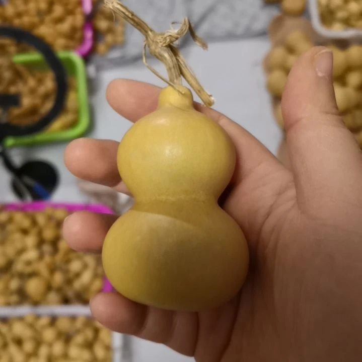 忘***河自然葫芦专拍链接