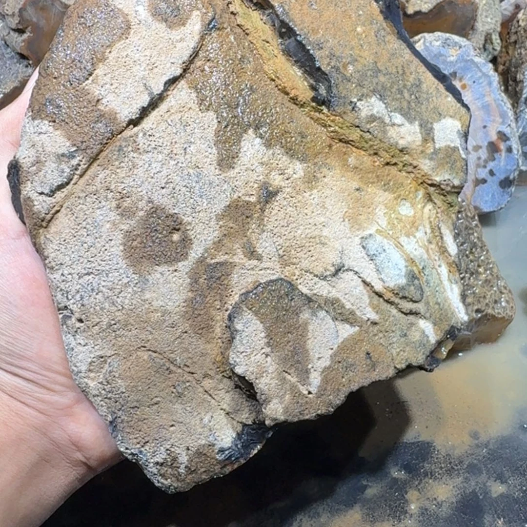 未镶嵌玛瑙/玉髓珠宝半成品