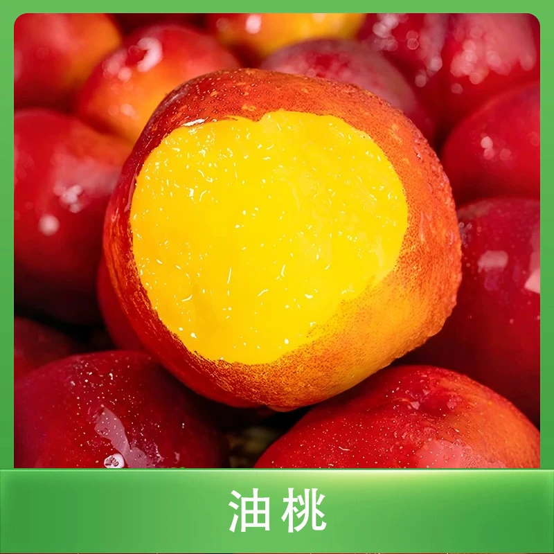 【头茬油桃】山东黄心油桃清甜可口当季油桃新鲜脆甜多汁水果kh