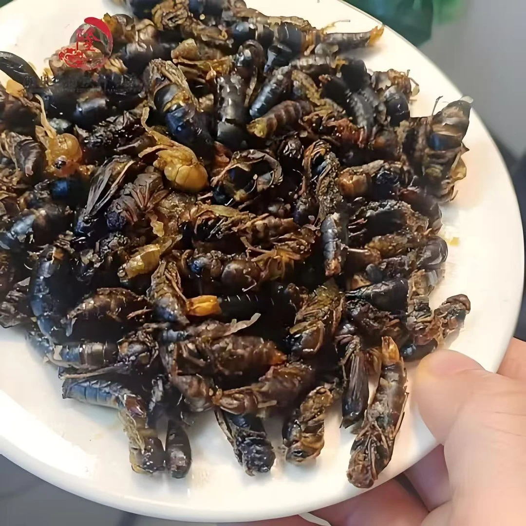 油炸小黄小黑 蜂蛹  树蜂  黄角峰  七里蜂