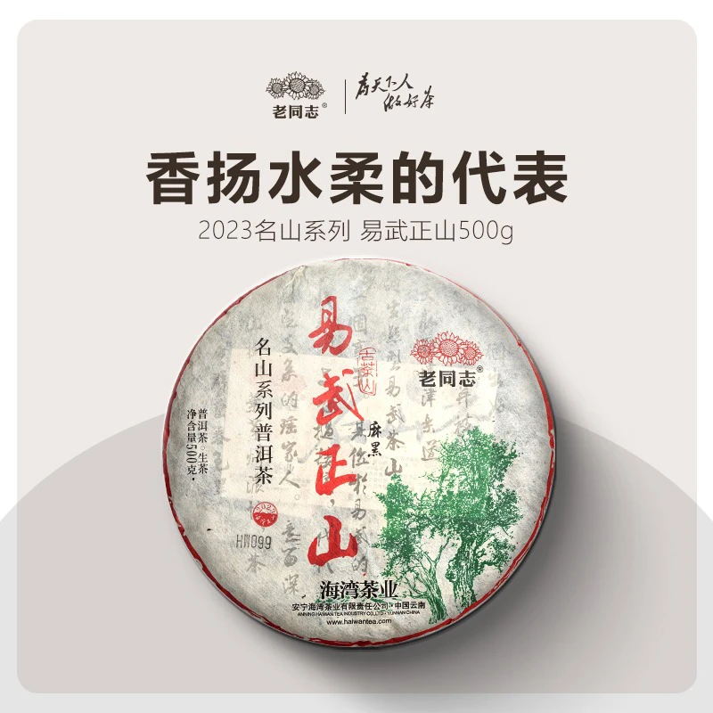 老同志普洱茶2023年易武正山麻黑500g名山茶普洱茶生茶