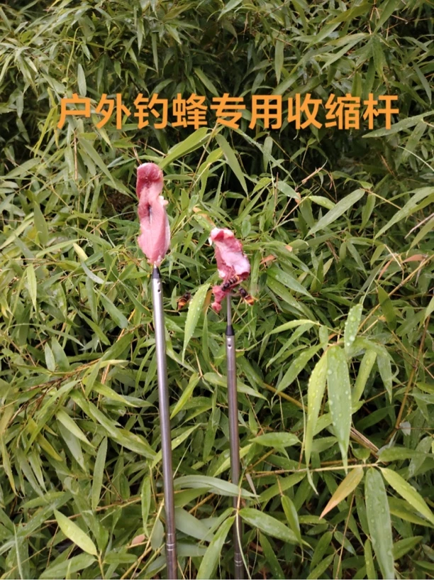 【户外钓蜂专用收缩杆】钓金环虎头蜂钓黑尾虎头蜂钓黄脚蜂钓七里蜂