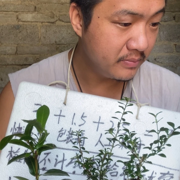 退款拉黑一物一拍385